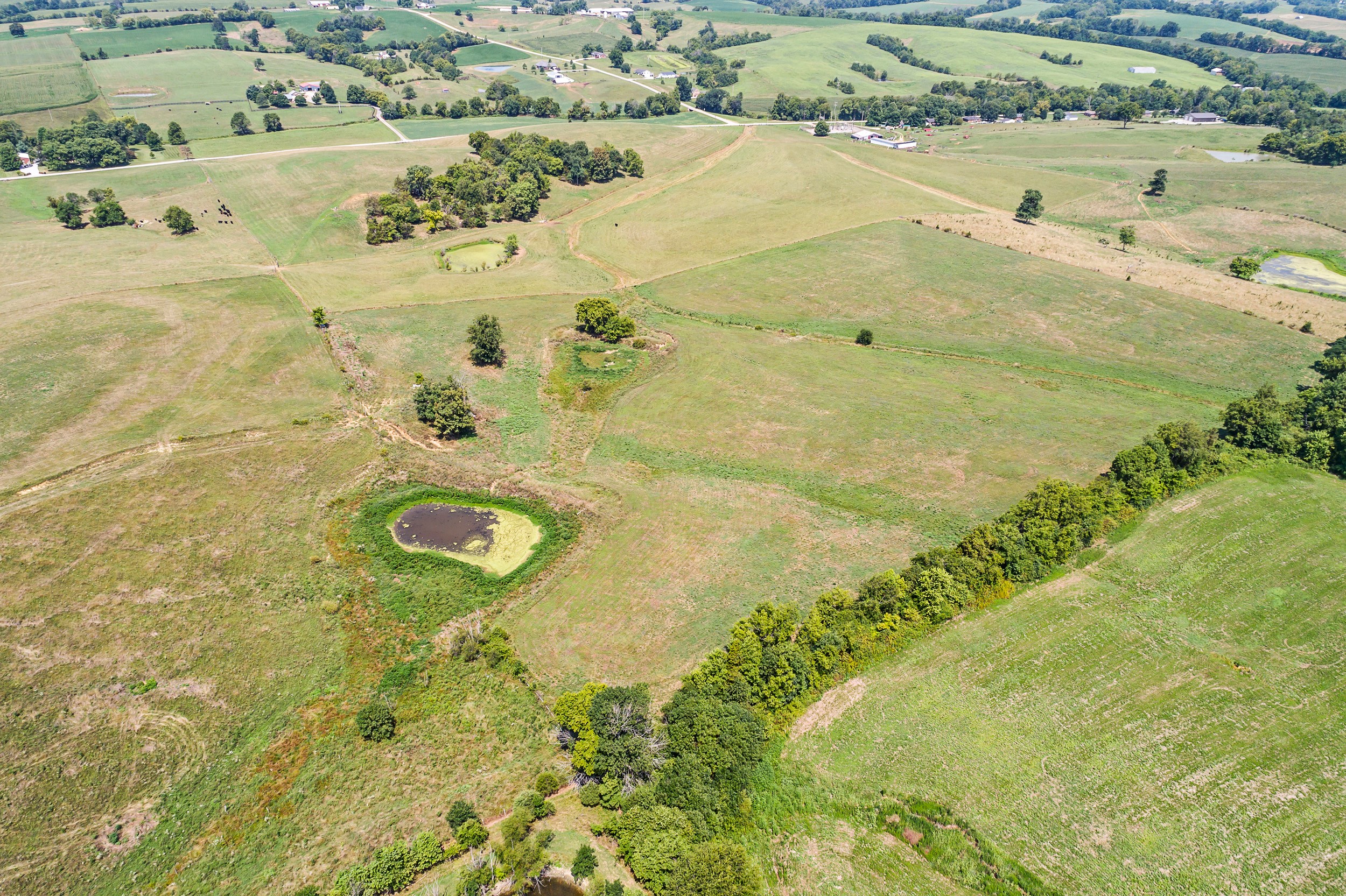 35.463 Acres (+/-) – 717 McLain Road – Springfield
