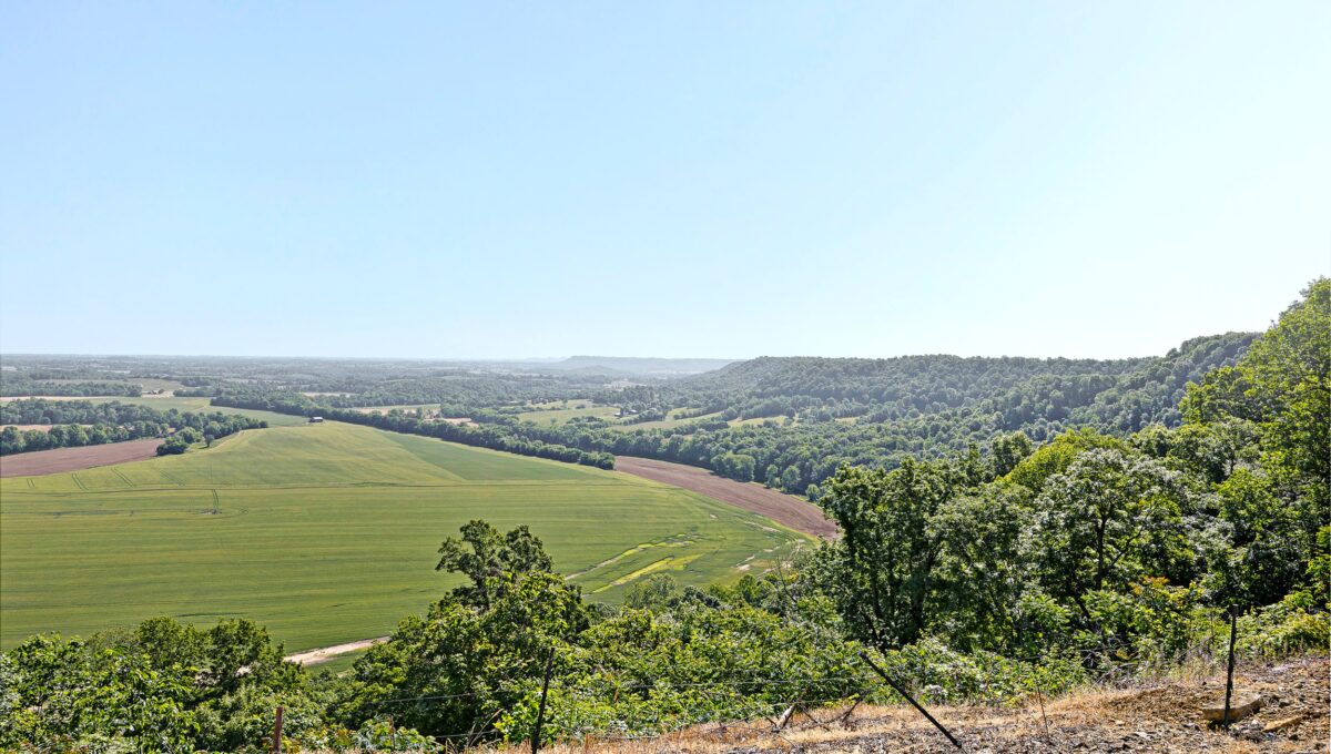 031