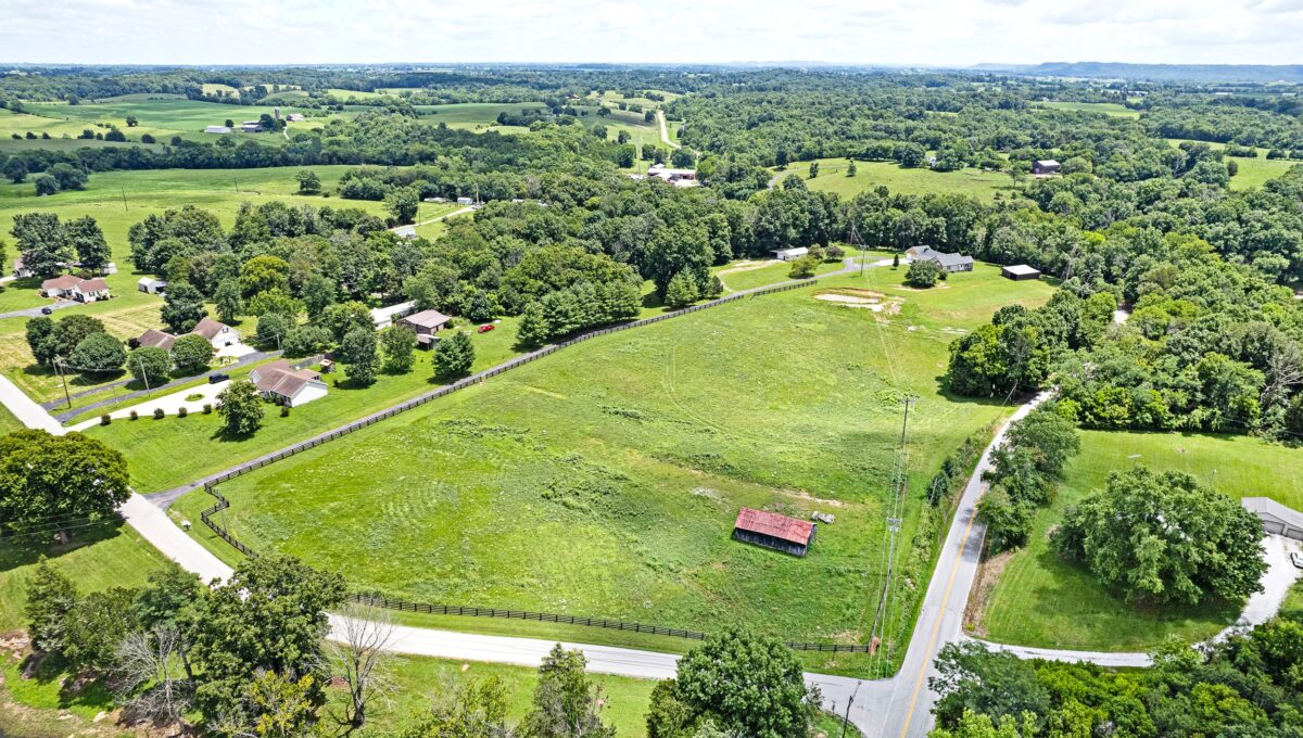 041