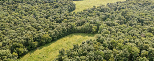 018 018